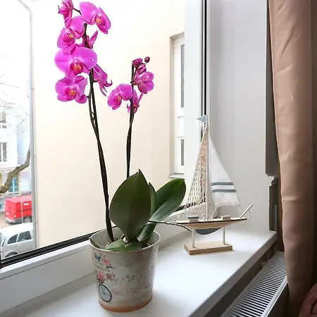 Apartmán Ostseenordstern