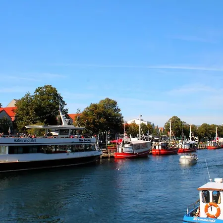Ostseenordstern * Росток