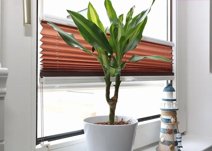 Ostseenordstern Appartement